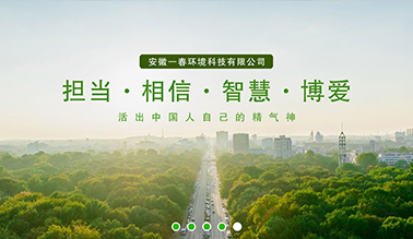 安徽一春环境科技有限公司